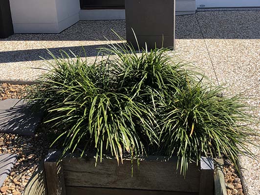 landscaping rocksberg