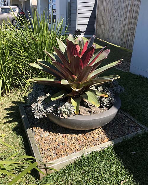 landscaping petrie